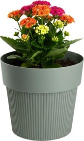 PLASTOVÝ KVETINÁČ SILVA LINE 13X11,5 CM MÄTOVÁ