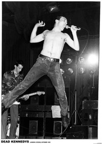 Plagát, Obraz - Dead Kennedys - Lyceum London 81