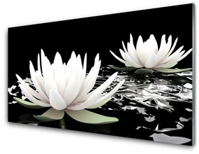 Obraz na akrylátovom skle Kvety rastlina príroda 140x70 cm