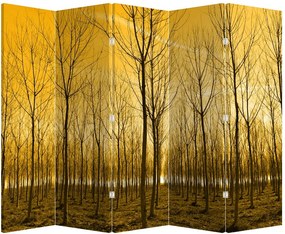 Paraván - Les pri západe slnka (210x170 cm)