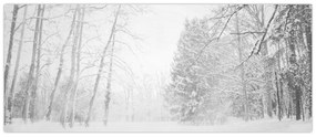 Obraz - Drevené mólo v zime (120x50 cm)