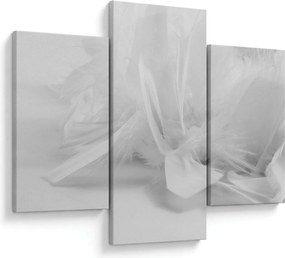 Obraz - Perie (90x60 cm)