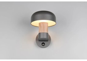 Nástenné vonkajšie svietidlo (výška 24,5 cm) Fraser – Trio