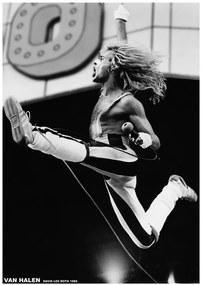 Plagát, Obraz - Van Halen - David Lee Roth 1980, (59.4 x 84.1 cm)