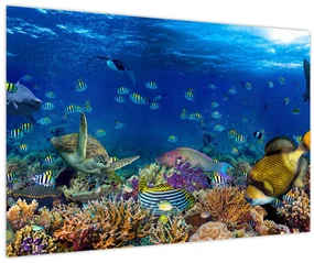 Obraz - Oceán (90x60 cm)
