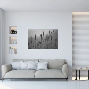 Obraz - Steblá trávy (90x60 cm)
