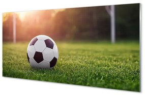 Obraz plexi Futbal tráva gateway 125x50 cm