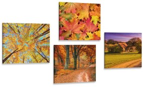 Set obrazov príroda v jesenných farbách Varianta: 4x 40x40