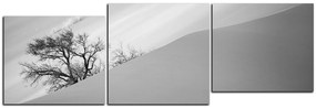 Obraz na plátne - Červené piesočné duny - panoráma 5133QD (120x40 cm)