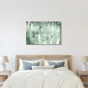 Obraz - Zelená lúka (90x60 cm)