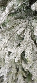 Limpol Vianočný stromček Exkluzívna matná jedľa Výška stromčeka: 210 cm