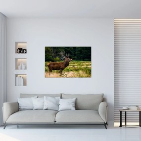Obraz jeleňa (90x60 cm)