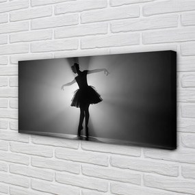 Obraz canvas Baletka sivé pozadie 140x70 cm