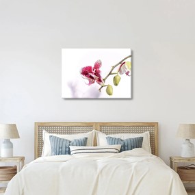 Obraz kvetu orchidey (70x50 cm)