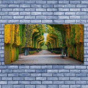 Obraz na akrylátovom skle Park jeseň záhrada príroda 120x60 cm