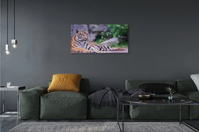 Obraz na plátne Tiger v zoo 140x70 cm