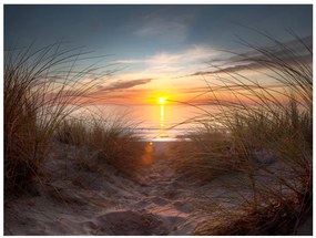 Artgeist Fototapeta - Sunset over the Atlantic Ocean Veľkosť: 350x270, Verzia: Standard