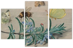Obraz - Jan van Kessel the Elder, Insects and a Sprig of Rosemary, reprodukcia (90x60 cm)