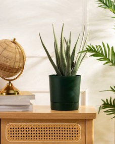 Květináč s podmiskou AZALEA 17,5 cm zelený