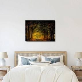 Sklenený obraz lesu (70x50 cm)
