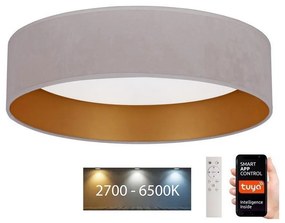 Brilagi - LED Stmievateľné svietidlo VELVET SMART LED/24W/230V Wi-Fi Tuya + DO BG0429