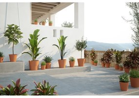 Kvetináč z terakoty ø 39 cm Manuel – Artevasi