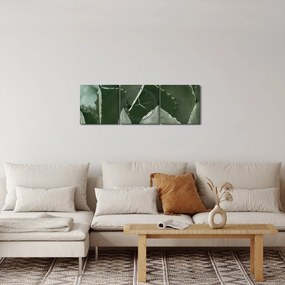 Obraz - Zelená agáve (s hodinami) (90x30 cm)