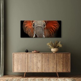 Obraz - Slony z Tsavo (120x50 cm)