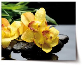 Sablio Plagát Žlté Orchidey - 60x40 cm