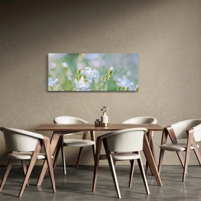 Obraz - Jemné kvety (120x50 cm)