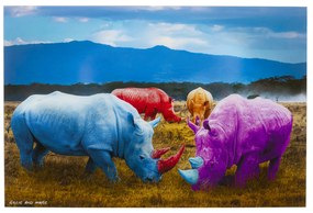 Rhino Colore obraz viacfarebný 120x80 cm