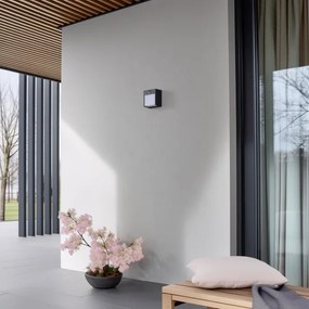 Brilagi-LED Vonkajšie nástenné svietidlo so senzorom TERNI LED/12W/230V antr. IP44