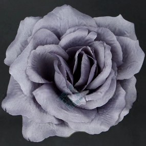 Schetelig Ruža francúzska, hlava 13 cm, Violet