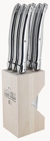 Stojan so 6 nožmi Debutant Inox
