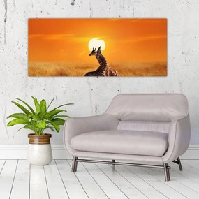 Obraz - Žirafy v národnom parku Serengeti (120x50 cm)