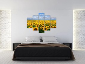 Obraz slnečnicového poľa (150x105 cm)