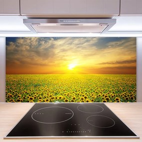 Sklenený obklad Do kuchyne Slnko lúka slnečnica 125x50 cm