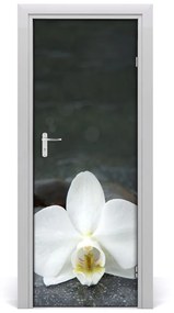 Fototapeta na dvere orchidea 85x205 cm