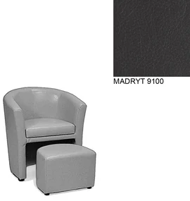 AVA HOLGER I Varianta: MADRYT 9100