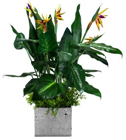 Flowerpot insert Paradise Bird