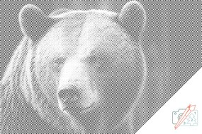 Gario Bodkovanie Medveď grizzly Rozmery: 80 x 120 cm, Rámovanie: Iba zrolované plátno, Farba bodiek: Čierna