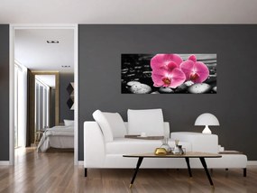 Obraz - Ružové orchidey (120x50 cm)