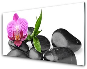Obraz na akrylátovom skle Kvet kamene umenie 140x70 cm