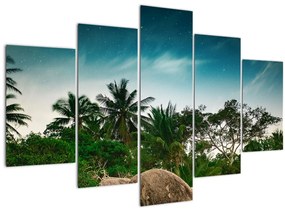 Obraz - palmy (150x105 cm)