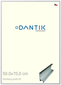 DANTIK rám na obraz 50x70 | ALU Stříbrná matná (Plexi Čiré)
