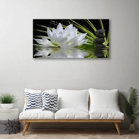 Obraz Canvas Kvety kamene zen voda 140x70 cm
