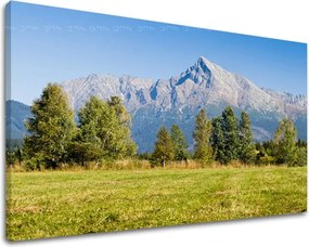 Obraz na stenu SLOVENSKO