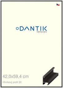 DANTIK rám na obraz 42x59,4 | ALU Černá matná (Plexi Čiré)