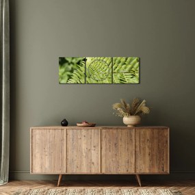 Obraz - Papradinový list (s hodinami) (90x30 cm)