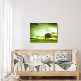 Obraz - Strom života (70x50 cm)
